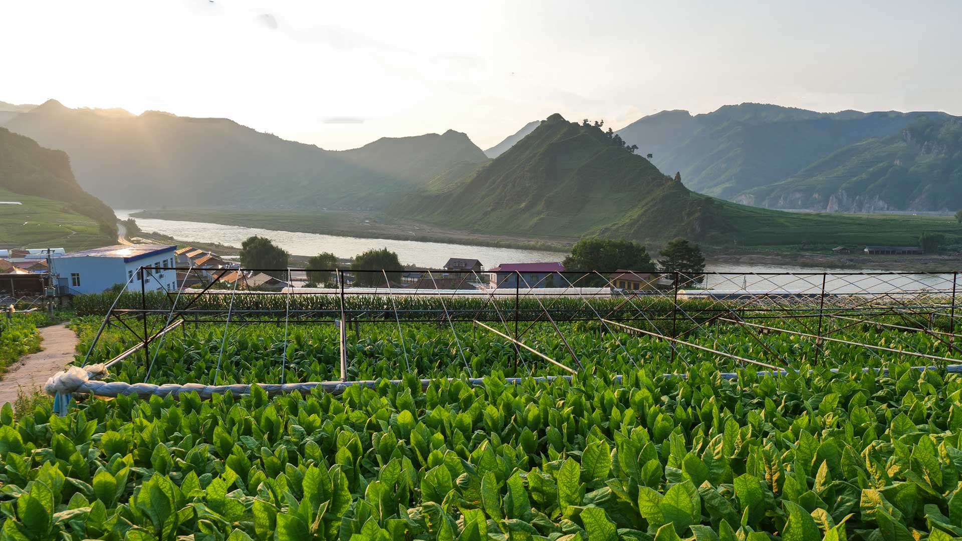 夹皮沟旅游夹皮沟旱烟特产